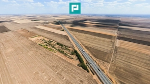Teren agricol 63.593 mp , Pecica - imagine 4