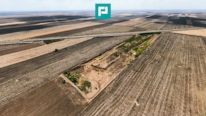 Teren agricol 63.593 mp , Pecica - imagine 7
