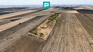 Teren agricol 63.593 mp , Pecica - imagine 8