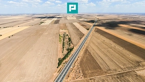 Teren agricol 63.593 mp , Pecica - imagine 6