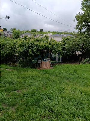 Manta Rosie  Hlincea Teren 616mp si Casa veche din caramida 81mp