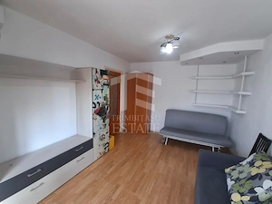 Teiul Doamnei- Apartament 2 camere decomandat | Etaj 10/10 - imagine 2