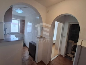 Teiul Doamnei- Apartament 2 camere decomandat | Etaj 10/10 - imagine 9