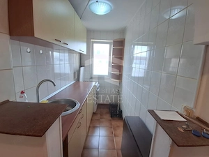 Teiul Doamnei- Apartament 2 camere decomandat | Etaj 10/10 - imagine 6