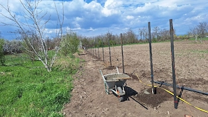 Teren intravilan in apropierea orașului Buzău  - imagine 4