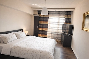 Apartament complet mobilat și utilat, de vânzare! - imagine 2