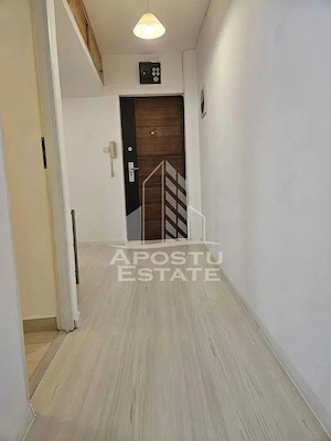 Apartament cu 1 camera in zona Sagului - imagine 4