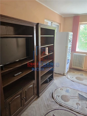 Apartament 1 camera, 20 mp, zona Cantemir - imagine 2