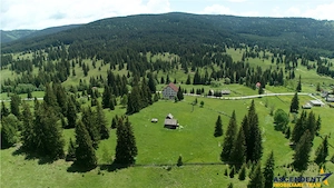 Complex montan 1.124 mp, Toplita Secu, investitie: turistica  retreat, cadru valoros - imagine 9
