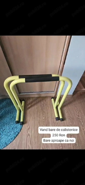Bare calistenice