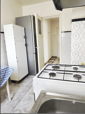 Apartament cu doua camere în Bușteni  - imagine 5