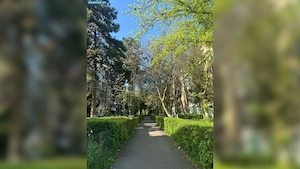 Vanzare apartament cu 3 camere cartierul Gheorgheni. Comision 0!