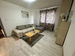 Complex Studentesc, 2 Camere, Centrala Proprie, Renovat - imagine 3