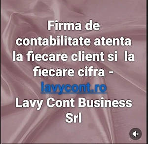 Firma de contabilitate- lavycont.ro- Lavy Cont Business Srl