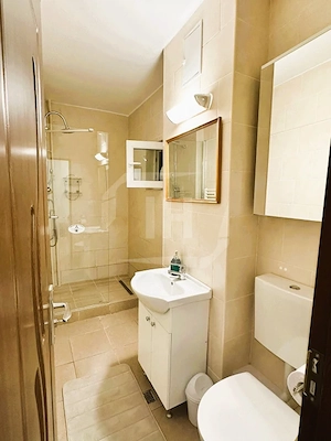 Apartament 1 camera, , decomandat, zona Piata Cipariu - imagine 8