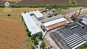Hale industriale de închiriat în Lugoj – strada Buziașului - imagine 3
