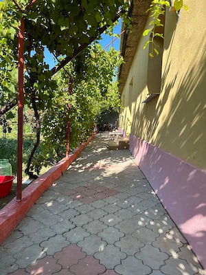 Casă de închiriat   proprietate cu curte și grădină, zonă liniștită - imagine 7
