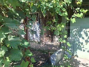 Casa rustica de vanzare, 110 mp, teren 600 mp, zona Bucsani - imagine 20