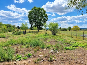 Casă P+M în Săcălășeni | 116,5 mp utili | 1.047 mp teren | 42.000   NEGOCIABIL - imagine 3