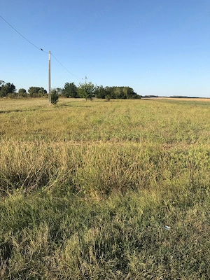 Vanzare teren intravilan Crivat Judetul Calarasi (30 km distanta de Bucuresti)fac