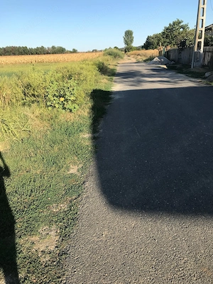 Vanzare teren intravilan Crivat Judetul Calarasi (30 km distanta de Bucuresti)fac - imagine 5