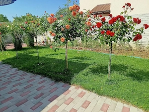 Proprietar! Casa individuală in Giroc! - imagine 10