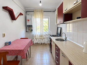 Apartament 2 camere zona Micalaca Pet Friendly - imagine 3