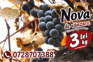 Nova de vanzare 