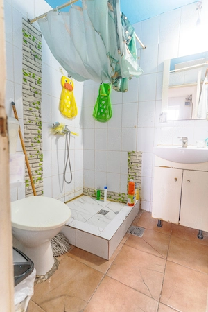 casa in zona  sos alexandriei - imagine 4