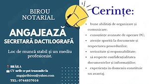 Secretara dactilografa