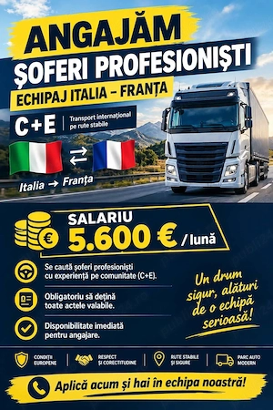 Angajam soferi profesionisti echipaj Italia-Franta prelata