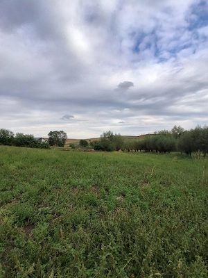 Casă de vânzare Horodniceni, județul Suceava  - imagine 4