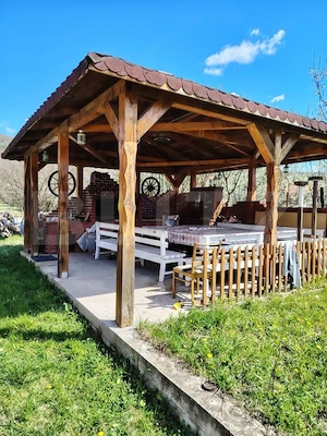 Casa de vanzare, 280 mp , teren 3.500 mp, zona Pestisu Mic - imagine 4
