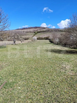 Casa de vanzare, 280 mp , teren 3.500 mp, zona Pestisu Mic - imagine 5