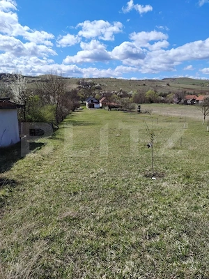 Casa de vanzare, 280 mp , teren 3.500 mp, zona Pestisu Mic - imagine 7
