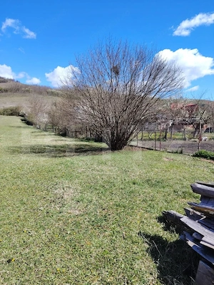 Casa de vanzare, 280 mp , teren 3.500 mp, zona Pestisu Mic - imagine 6