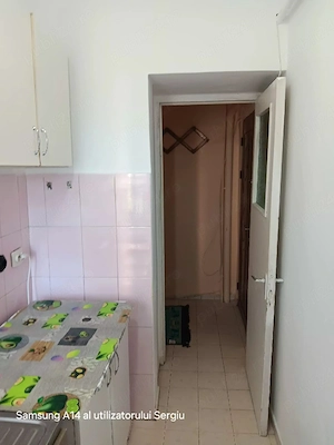 Alexandru Piata Voievozilor apartament 2 camere - imagine 8