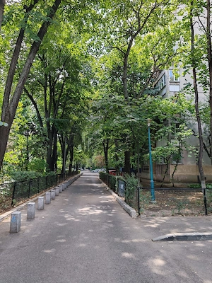 Apartament 3 camere, Brancoveanu/ Dorohoi, mobilat - imagine 9