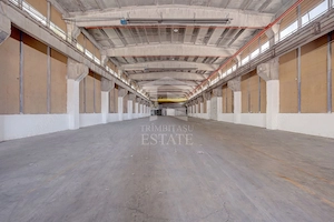HALE INDUSTRIALE / DEPOZITARE – PLOIEȘTI, ZONA INDUSTRIALA  XENIA - imagine 6