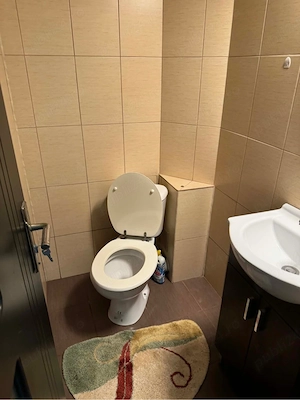 Apartament 3 camere - imagine 6