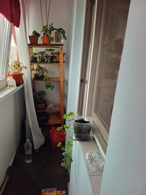 De vânzare Apartament 2 camere zona Colentina București  - imagine 2