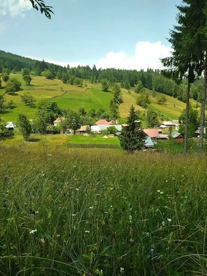 Vand Teren Ciugheș, Bacău - imagine 3