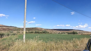 Vand teten in Valea Calda  - imagine 2