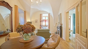 2 CAMERE NOU RENOVAT | TERASA SI GRADINA, PIVNITA | CENTRUL ISTORIC - imagine 3
