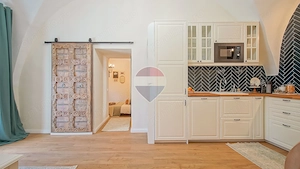 2 CAMERE NOU RENOVAT | TERASA SI GRADINA, PIVNITA | CENTRUL ISTORIC - imagine 5