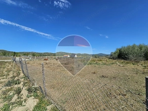 Teren 3,000mp Tisa / Drumul Laga lac - imagine 8