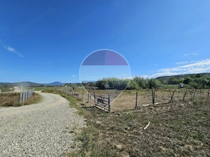 Teren 3,000mp Tisa / Drumul Laga lac - imagine 12