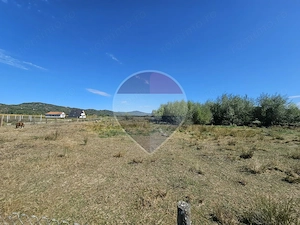 Teren 3,000mp Tisa / Drumul Laga lac - imagine 10