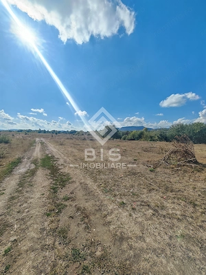 Oportunitate excelentă de investiție! Teren 12.600 mp. Unirea - imagine 18