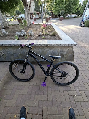Rockrider St 120